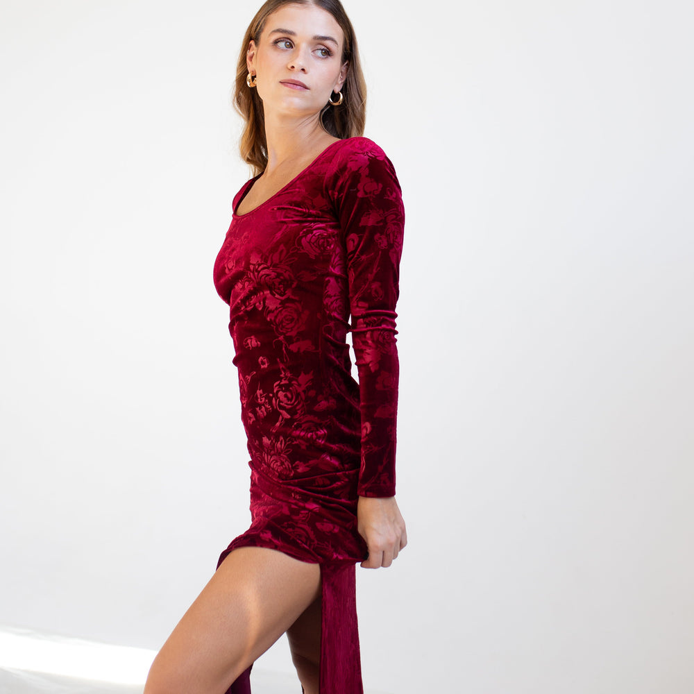 
                      
                        Velvet Maxi Rose Dress
                      
                    