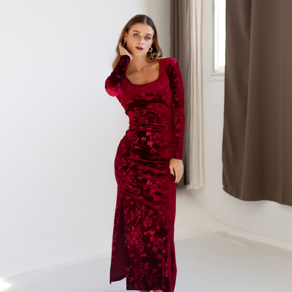 Velvet Maxi Rose Dress