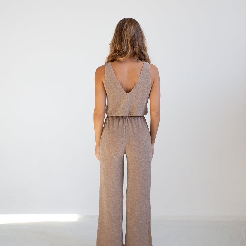 
                      
                        Sparkly Beige Maxi Jumpsuit
                      
                    