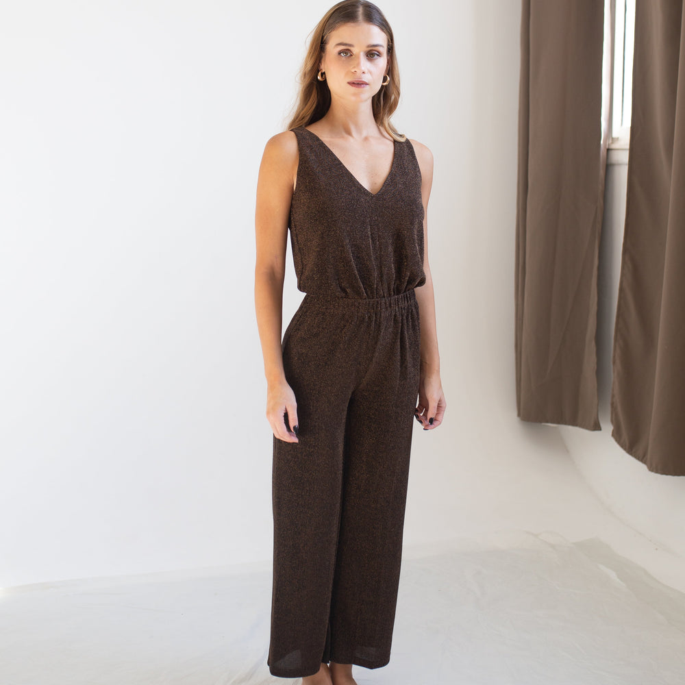 Sparkly Brown Maxi Jumpsuit