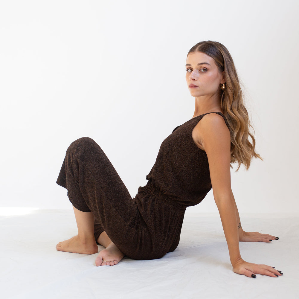 
                      
                        Sparkly Brown Maxi Jumpsuit
                      
                    